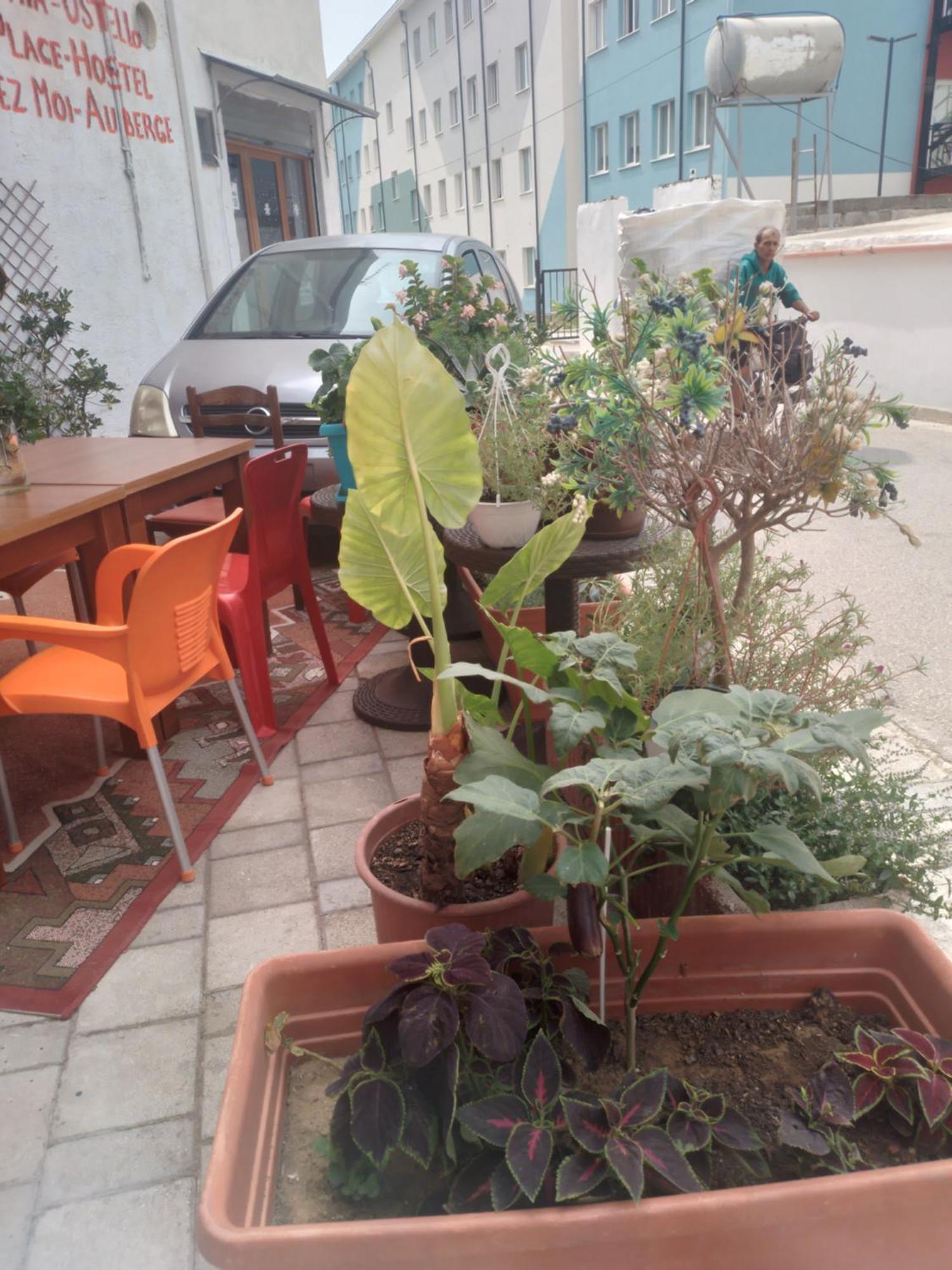Albergue Casa Mia Vlorë Exterior foto